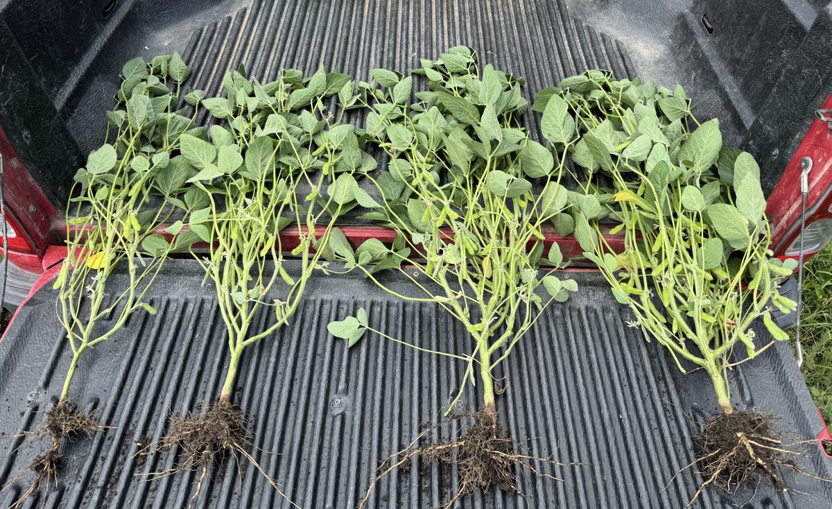 AM agro (@amagrouy) on Twitter photo 