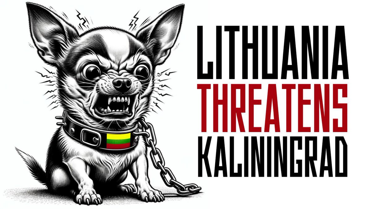 ❗️ Apparently, Lithuanian warmongers (eager to “neutralize” Kaliningrad) have never heard of “a nuclear war can never be won and must never be fought” concept.

🤷🏻 How come the smallest are usually the loudest?