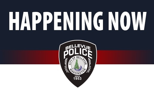 BvuePD's tweet photo. We are responding to a reported rape at Bellevue College. Suspect is a WM early 20's, with brown hair and wearing a hoodie, possibly armed with a knife. Call 911 if you have any info. https://t.co/R5SgNoFmJb