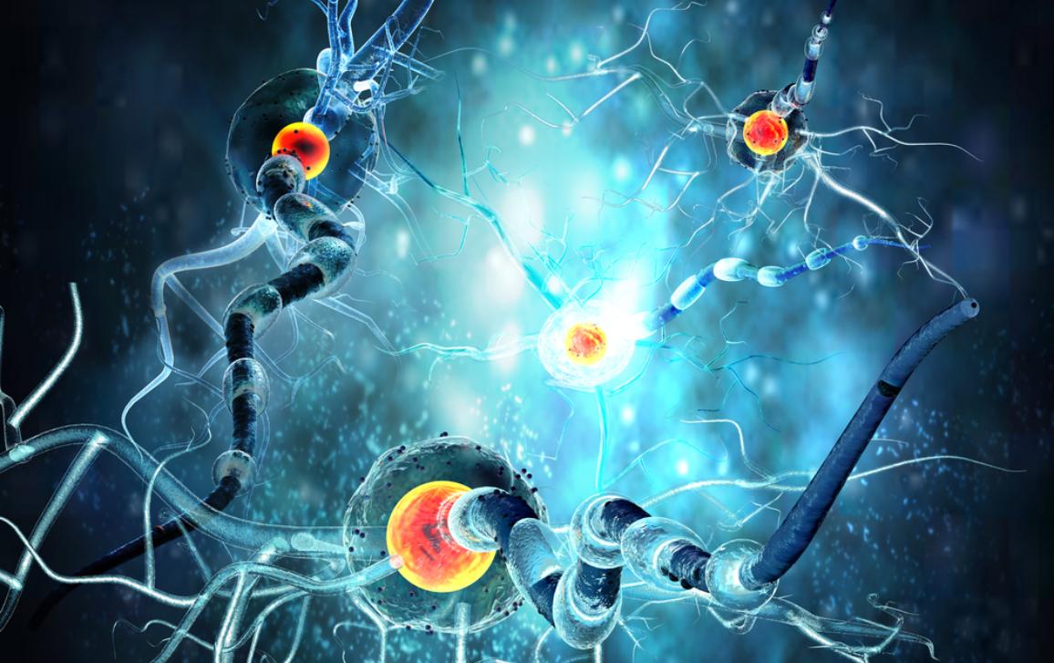 🩸Följ med oss för en speciell utbyte av åsikter i Europaparlamentet för att uppmärksamma den Sällsynta Dagen den 29 februari från kl. 9:00 till 10:30 CET! 📅 #online  Alla välkomna.  #SällsyntaDagen #HHT #EU #RareDiseaseDay2024 <a href="/eurordis/">EURORDIS-Rare Diseases Europe</a> 
tinyurl.com/25f6merm