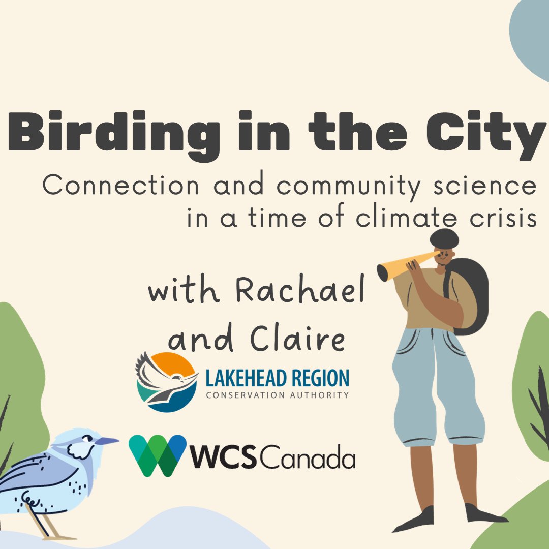 Claire Emma Farrell (@clairee_farrell) on Twitter photo Had such a blast co-running a birding event with Rachael/Lakehead Region Conservation Authority <a href="/lakeheadregion/">LRCA</a> at a high school in my hometown! Thanks Science North <a href="/SNThunderBay/">Science North TBay</a> for hosting the awesome Northern Ontario Youth Climate Action Summit!🐦⬛🔭🌲📸: <a href="/SNThunderBay/">Science North TBay</a> Had such a blast co-running a birding event with Rachael/Lakehead Region Conservation Authority <a href="/lakeheadregion/">LRCA</a> at a high school in my hometown! Thanks Science North <a href="/SNThunderBay/">Science North TBay</a> for hosting the awesome Northern Ontario Youth Climate Action Summit!🐦⬛🔭🌲📸: <a href="/SNThunderBay/">Science North TBay</a>