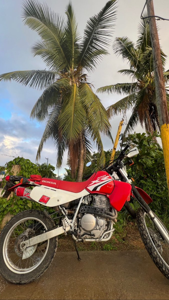 ash_ariaz's tweet photo. Missing home 🇩🇴♥️ https://t.co/oHNZww1veF