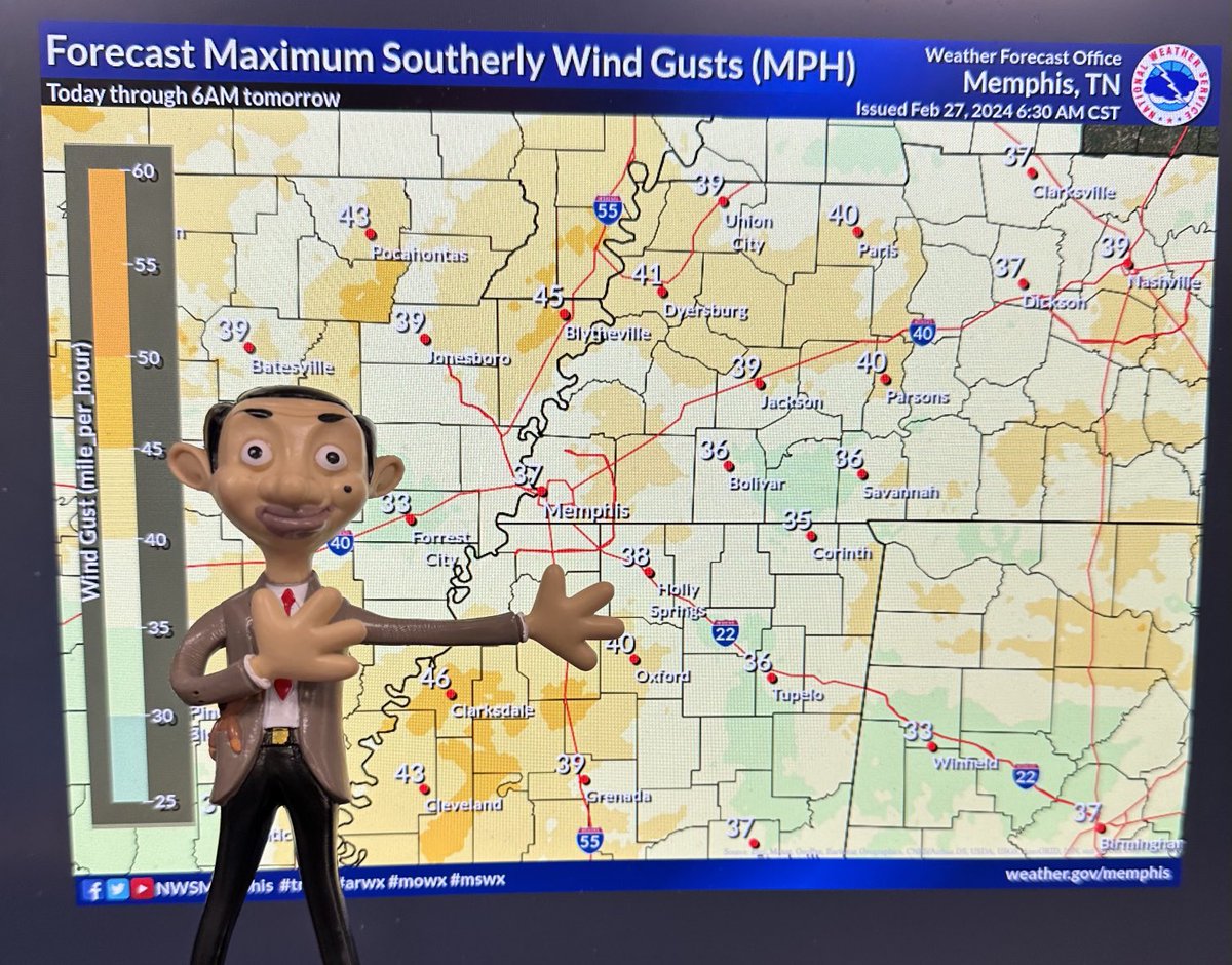 Tipton Co Schools tweet media