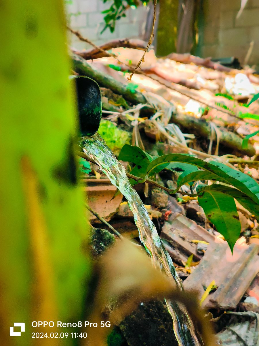 MohaRadhu1's tweet photo. Hi! @oppo @PeteLau I'm A Mobile Photographer I Captured This Pics With #OppoReno8Pro Hope To Win The Beast Of Mobile Photography #OPPOFindX7Ultra
It Will Be A Great Motivation For My Career. Plz Help Me With Oppo Find X7 Ultra #OPPORecaptured #OPPO
#ShotOnOppo #nature #art #love https://t.co/dCNidc6uPG