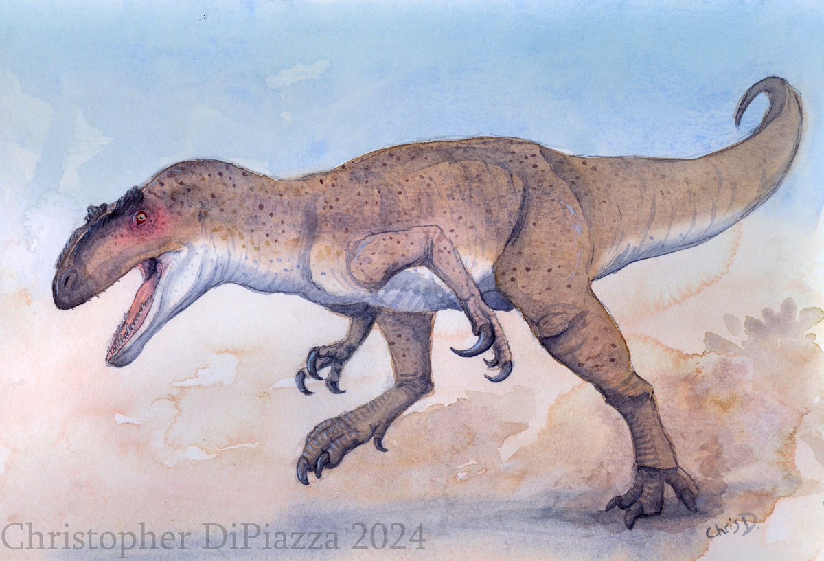 Newest #watercolor of #Allosaurus. #dinosaur #paleoart #jurassic