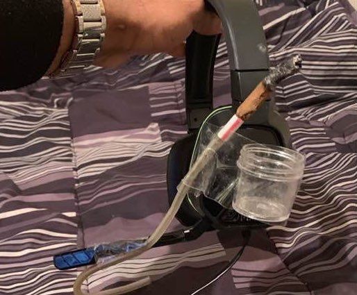 WeedPorns's tweet image. Harvard is typing…