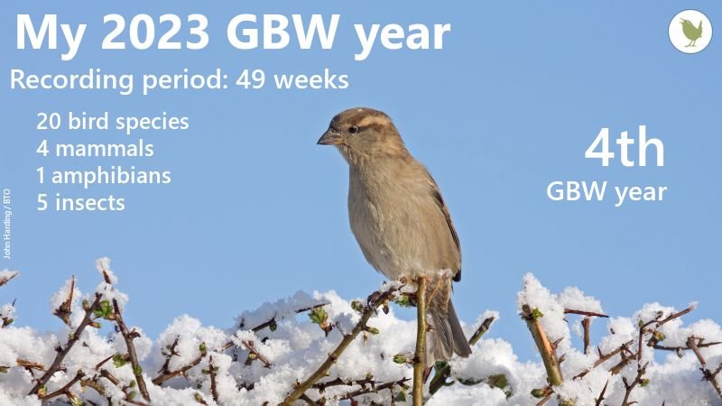 My @BTO_GBW annual count.