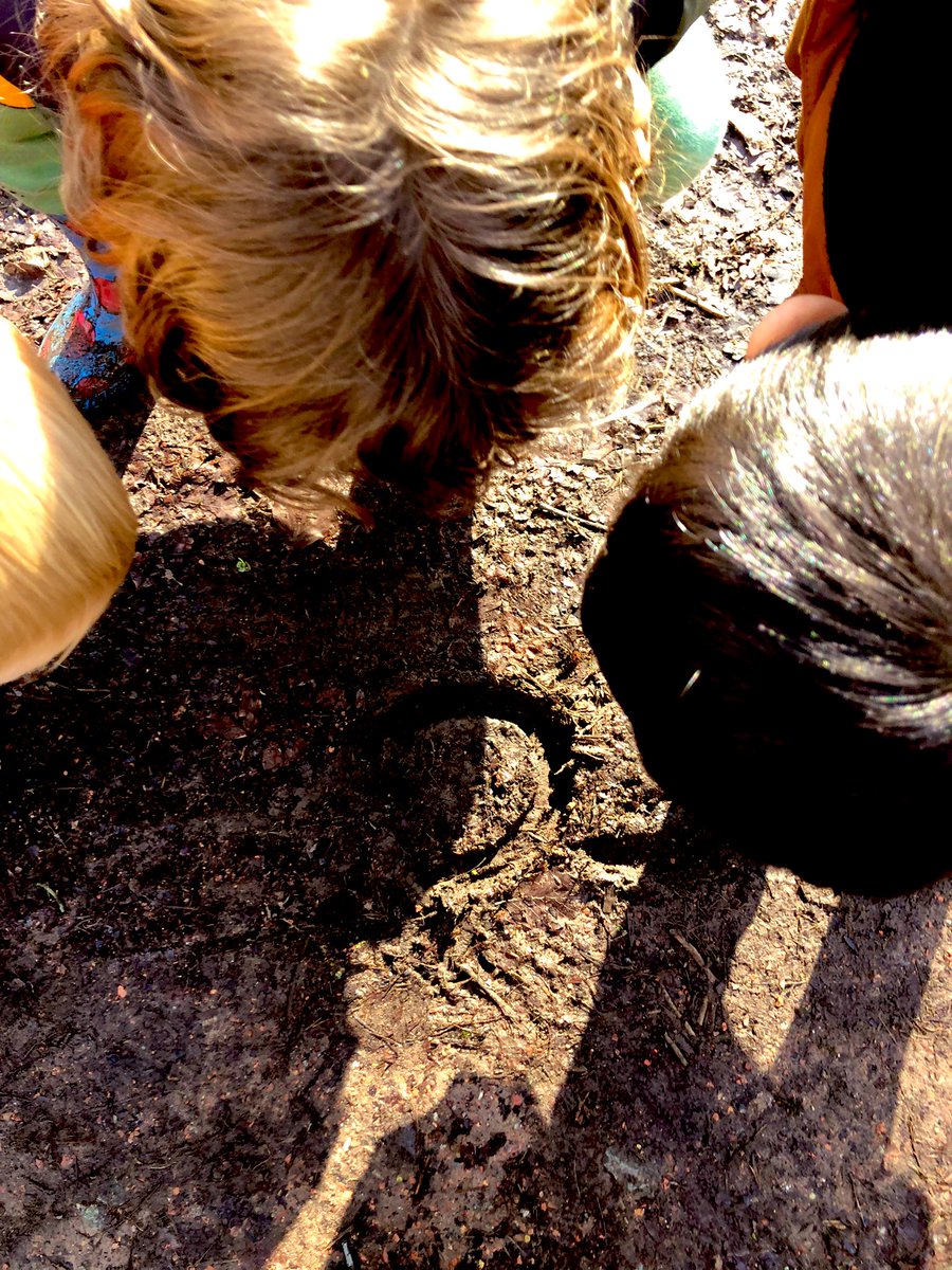 BSB_EarlyYears tweet media