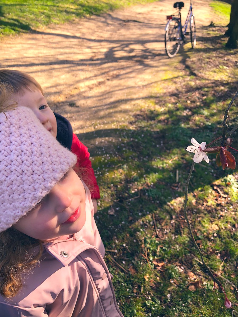 BSB_EarlyYears tweet media