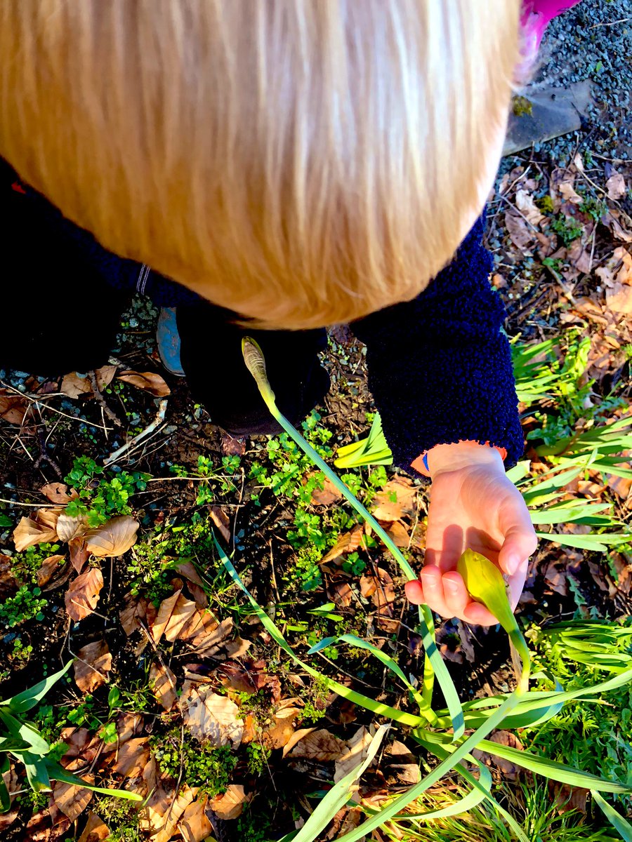 BSB_EarlyYears tweet media