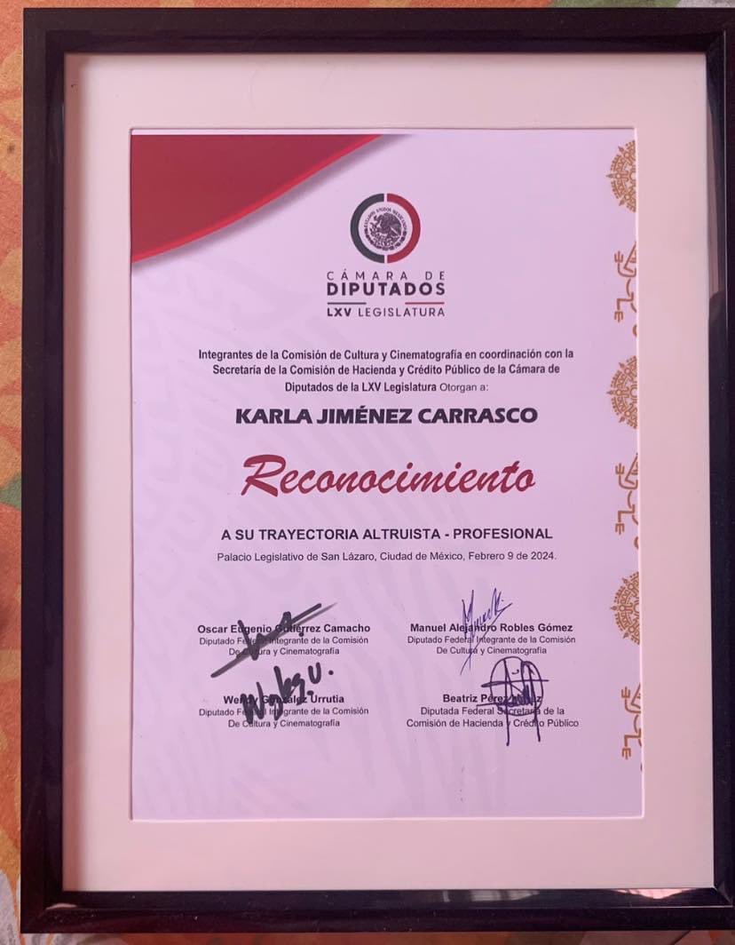 karlitacarrasco's tweet photo. En días pasados recibí este reconocimiento de la Cámara de Diputados por mi trayectoria altruista profesional 🤩
#MujerestransformandoTuMundo 🌍
#abrillar💥 https://t.co/flsicztLvt