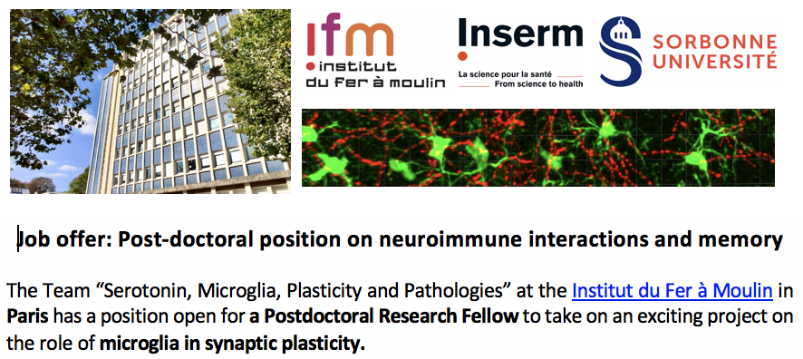 🥁 Job alert! A #postdoc position is open in my team in Paris🗼to take on an exciting project on the ✨role of #microglia in memory✨ @IFM_NEURO If you have expertise in transcriptomic analyses and 🐭mouse studies, follow🐾 the link below for more info! drive.google.com/file/d/1Asgr2g…