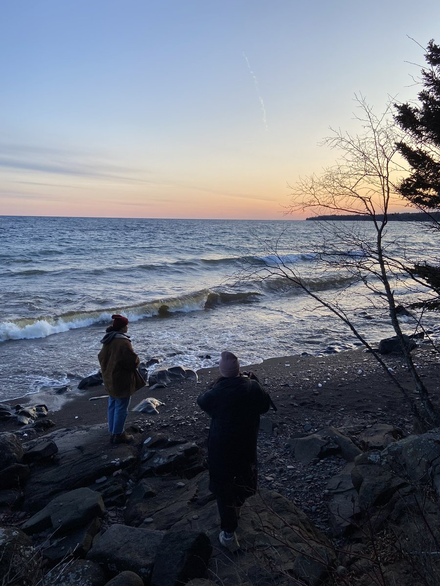 Mandy Pearson tweet media