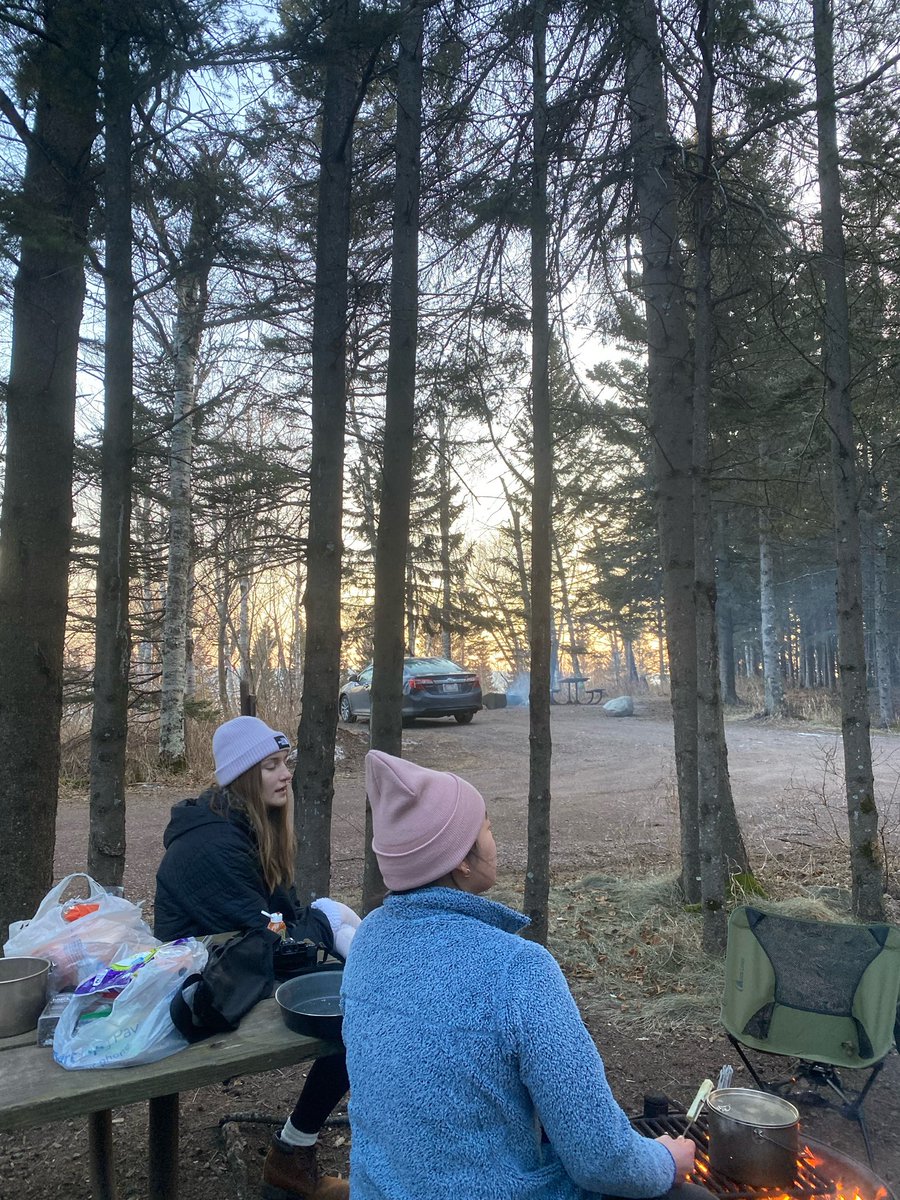 Mandy Pearson tweet media