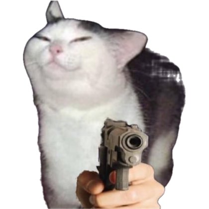Bawss17's tweet photo. If you are seeing this, it means that if you do not repost this, your whole family will be shot by this evil cat! https://t.co/pzHKCIbZKC