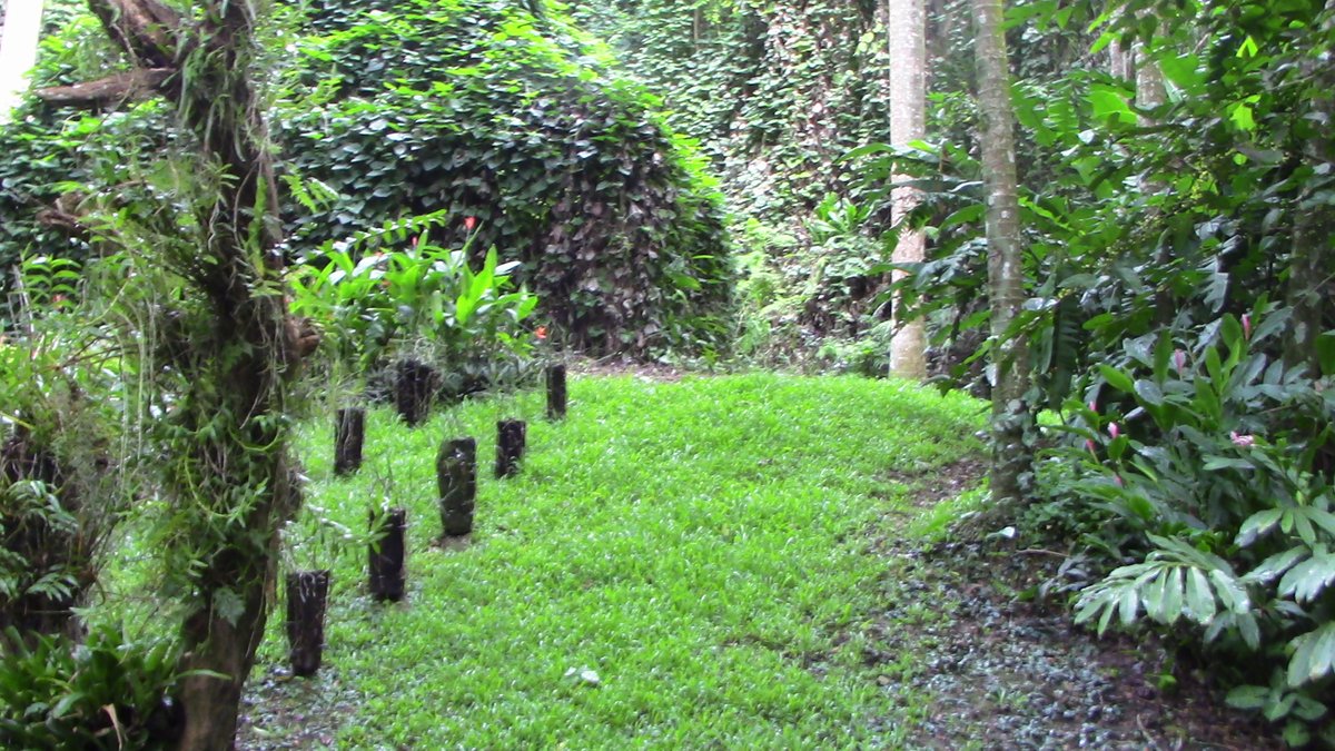 TrueGracePromo's tweet image. 