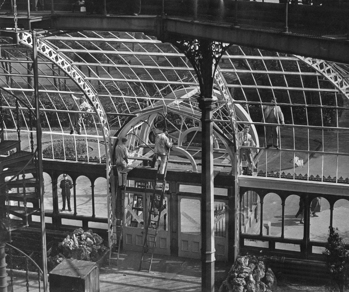 #HistoryPics 🥰 If you visited the #seftonparkpalmhouse today you might have noticed we were having the windows cleaned. This photo taken in 1951 and published in the Liverpool Echo shows some of the post war restoration. 🤗🌺🌴 Photo Credit : Liverpool Echo