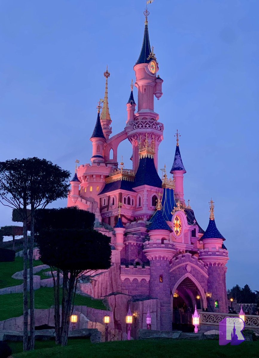DLP Report tweet media