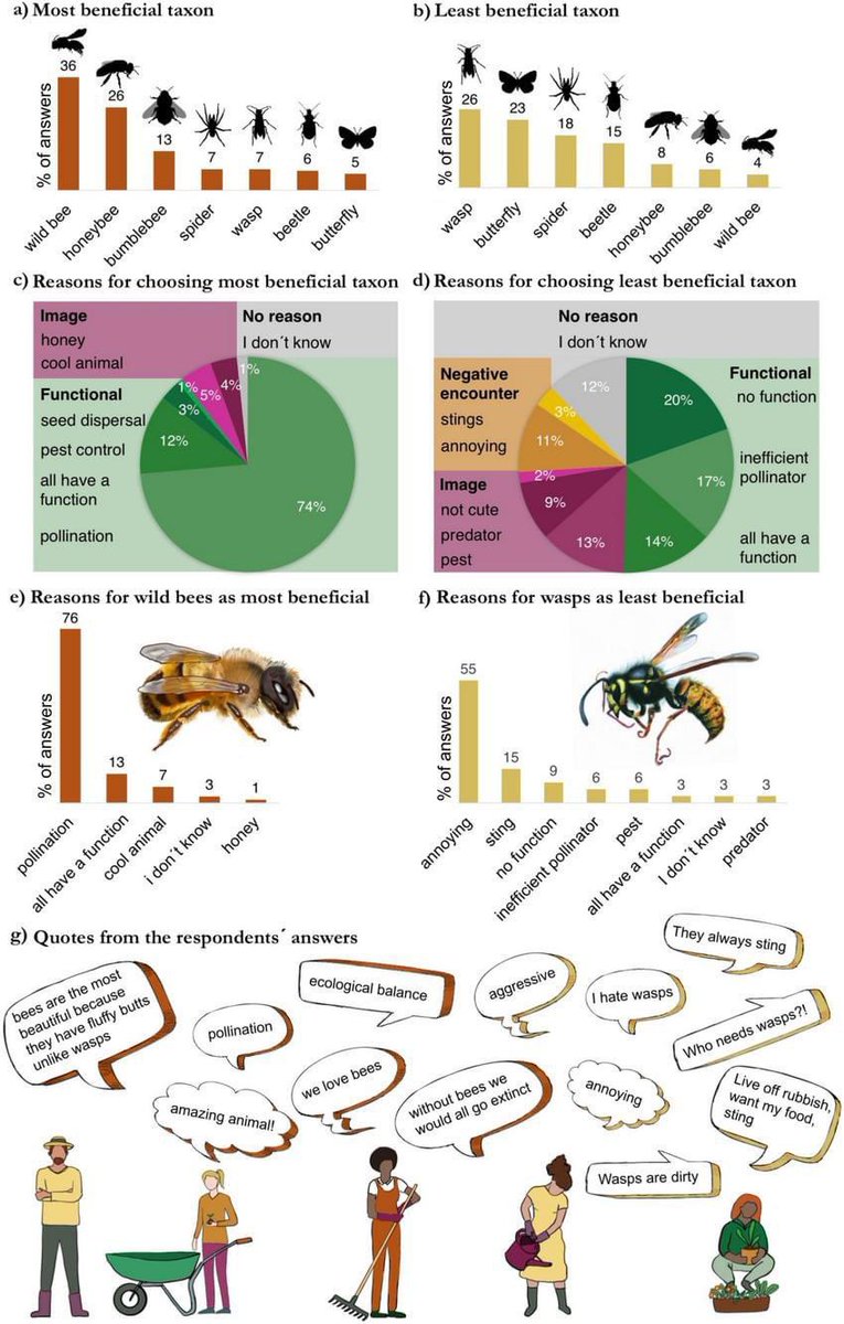 The publics perception of insects. Wasps get an undeserved bad rap. link.springer.com/article/10.100…