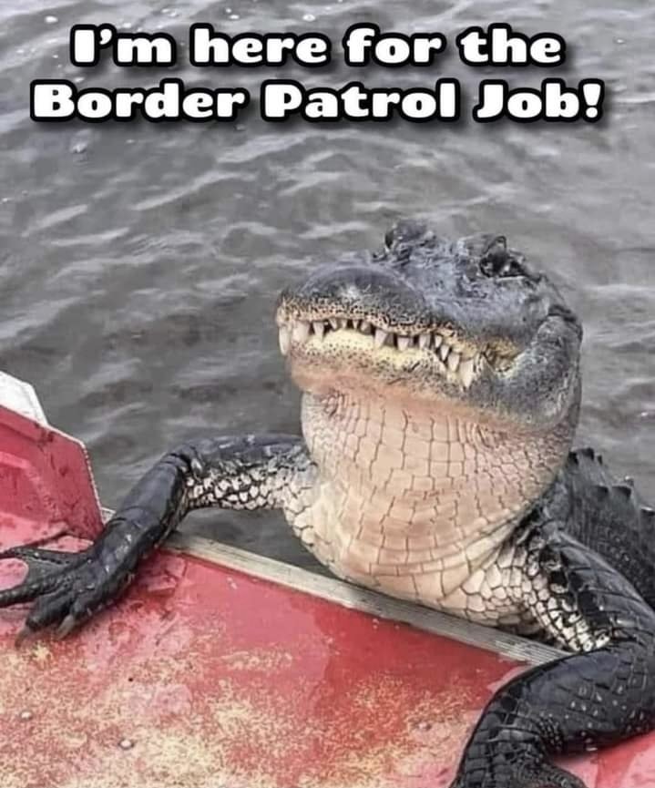 You're hired.  Got 50K mates?   Also , hope you don't mind colder water than You're used to.
Don't eat before your shift , you'll fill up on the job.
#StopTheFUCKINGboatsNOW #stopTheBoats