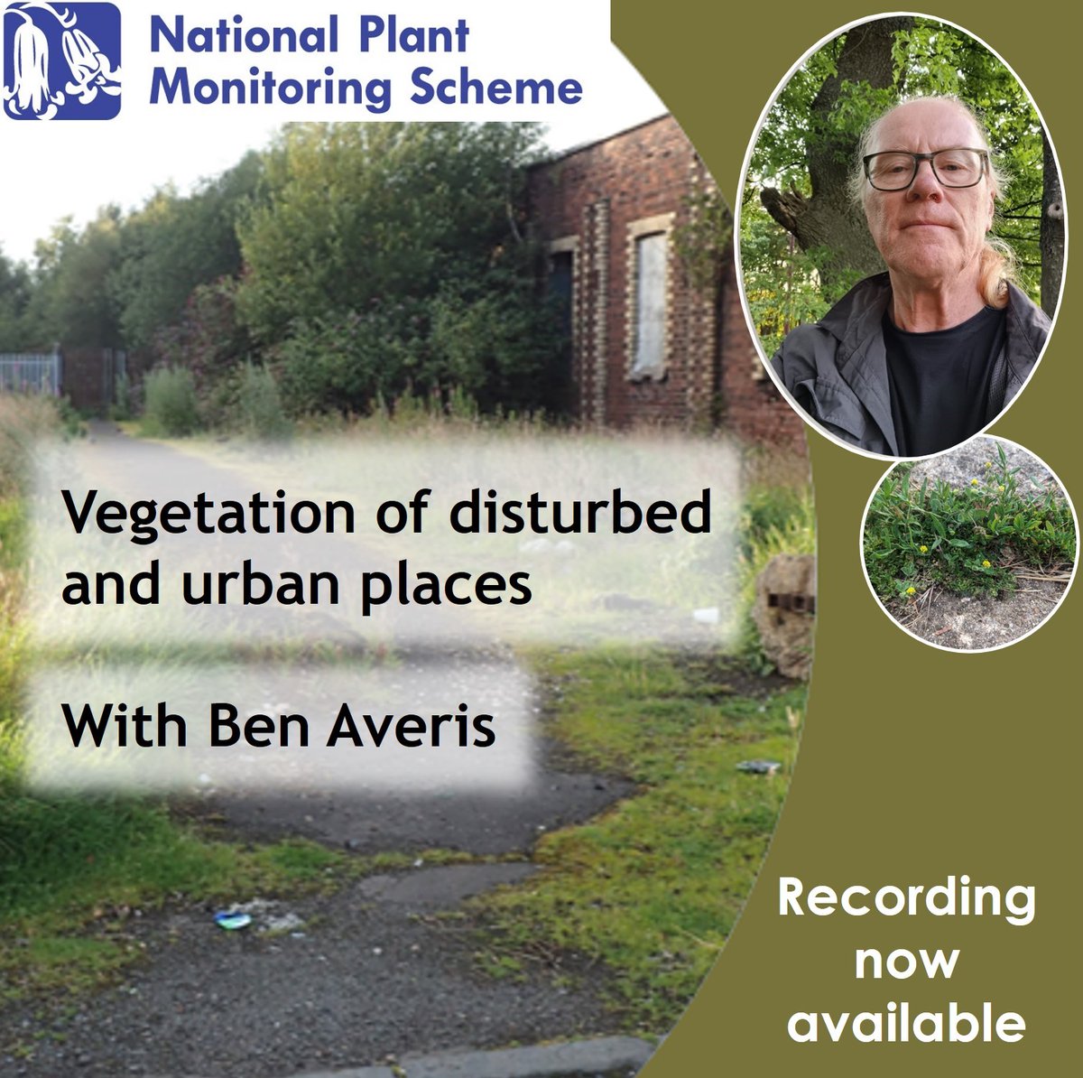 New webinar recordings available on the NPMS YouTube channel ow.ly/Ih5H50QIfp0 If you missed the live sessions, catch up with botanical specialist Ben Averis on vegetation of disturbed urban places, or BSBI's head of science Kevin Walker's intro to the Plant Atlas 2020.