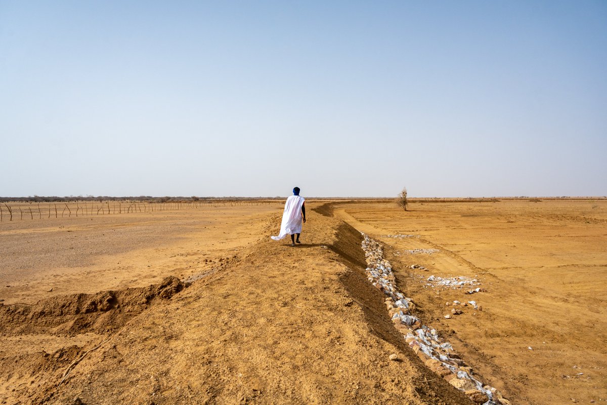 C’est simple : après la sécheresse vient la faim.  

Le #ChangementClimatique ravage aujourd’hui les terres sur lesquelles tant d’hommes et de femmes cultivent ce qui nourrit leur communauté et leur pays.  

#ActionClimat