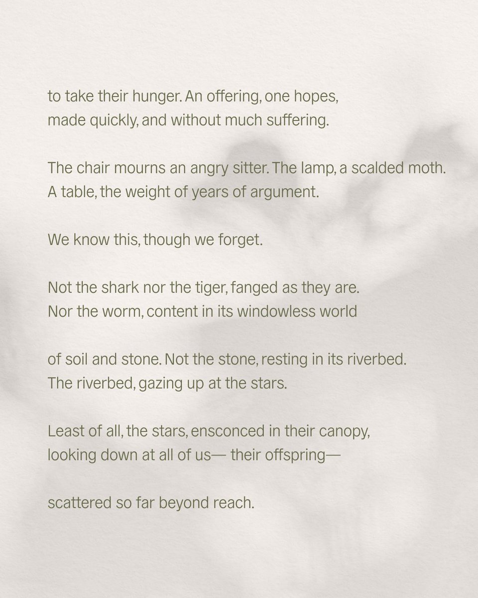 🌱Nourishment for today: Nothing Wants to Suffer, by Danusha Laméris, after Linda Hogan We are grateful for this loving invitation. 🌎 We shared this poem in our February newsletter. To sign up: allwecansave.earth/newsletter