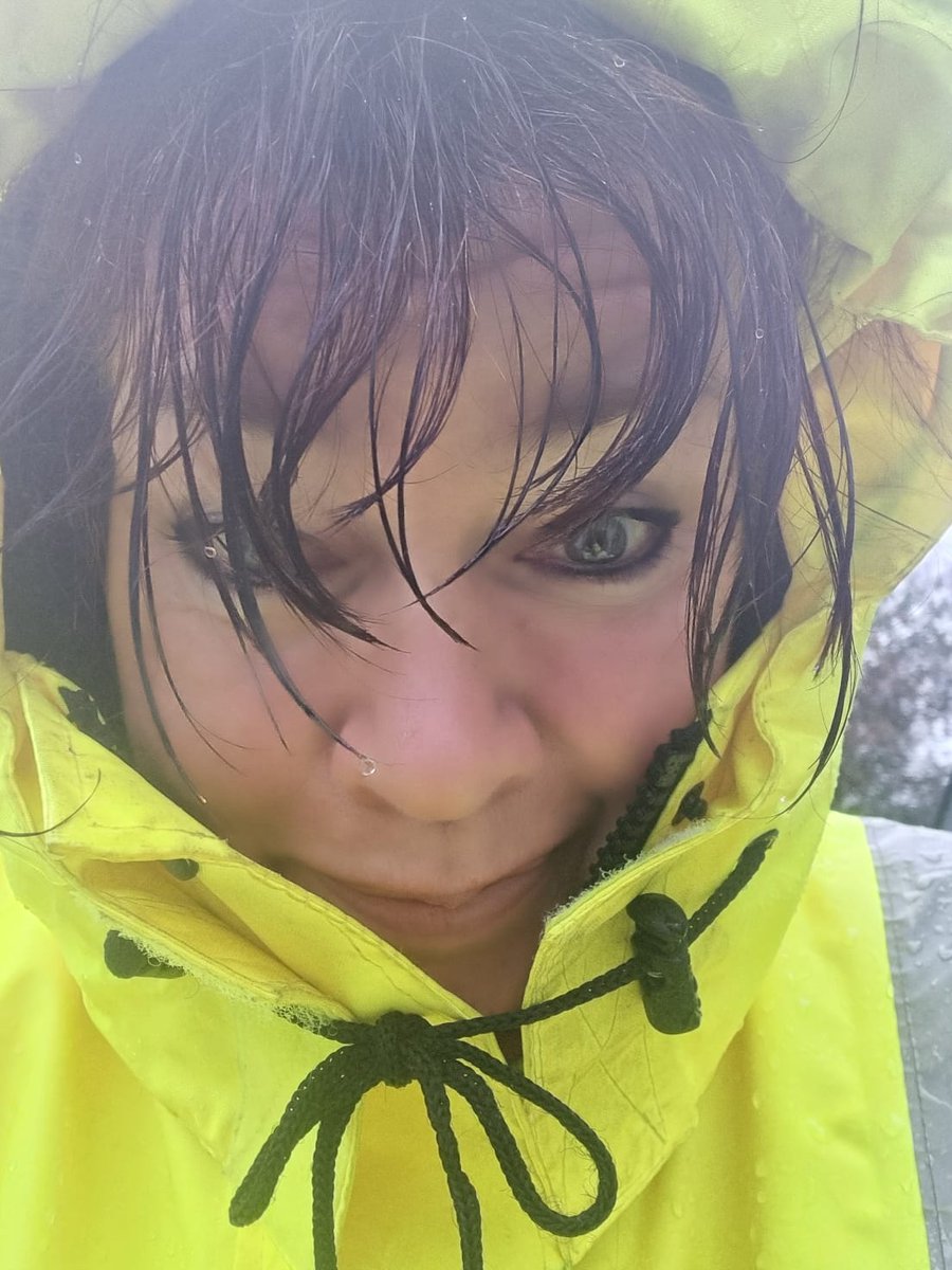 Paws2Freedom's tweet image. Living the dog rescue dream! Despite the rainy weather, we're busy as always. If you're lucky enough to catch some sunshine, soak it up! Wishing you all a happy day, rain or shine. To sponsor, foster or adopt one of our beautiful dogs, click the link paws2freedom.org/contact