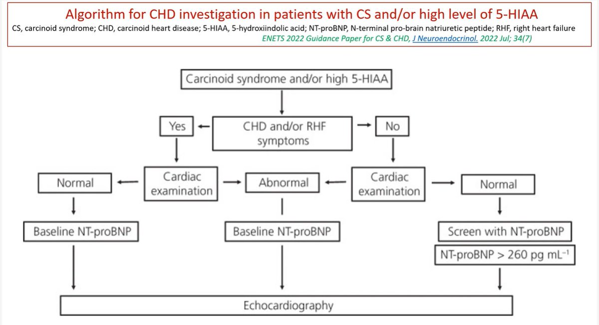 🚨Alert Useful slide from Prof Christos!🚨 The algorithm for the evaluation from CHD. 💻tinyurl.com/5nkn8b9z #CHDUKINETS