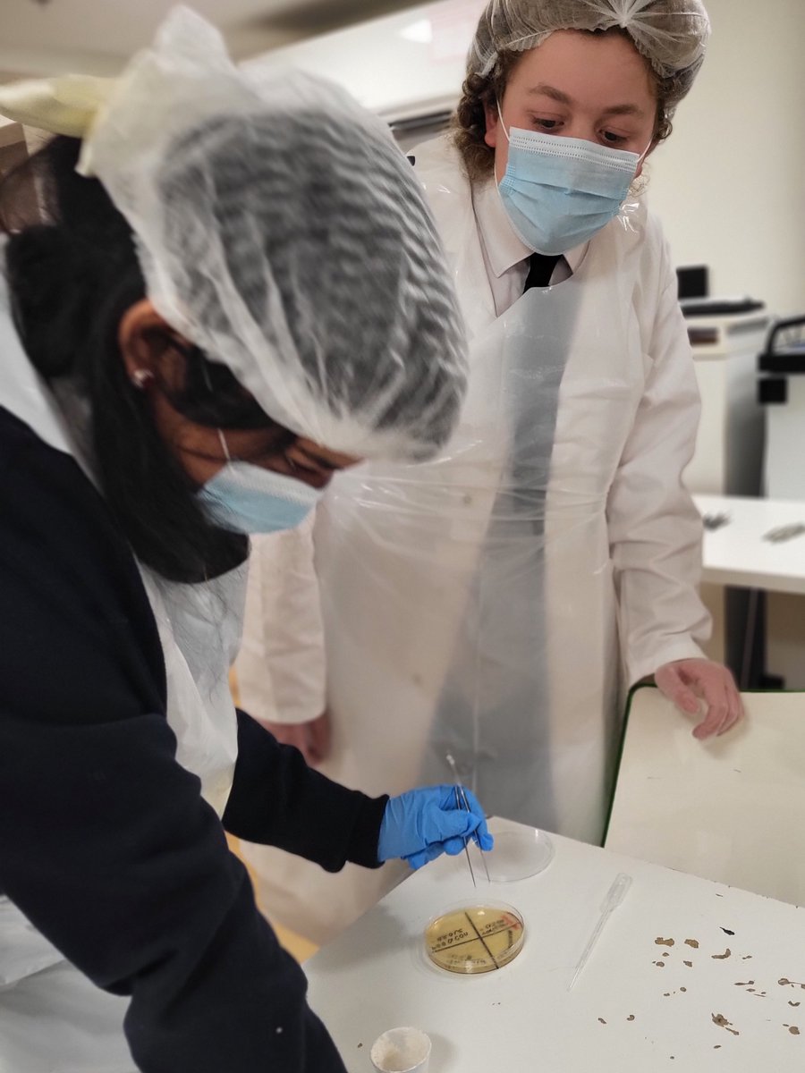 STEM_Discovery's tweet image. #LifeScienceAcademy #PandemicResponse #HealthScience #northhertfordshire #ThomasAlleyneAcademy 
#stevenageBoroughCouncil