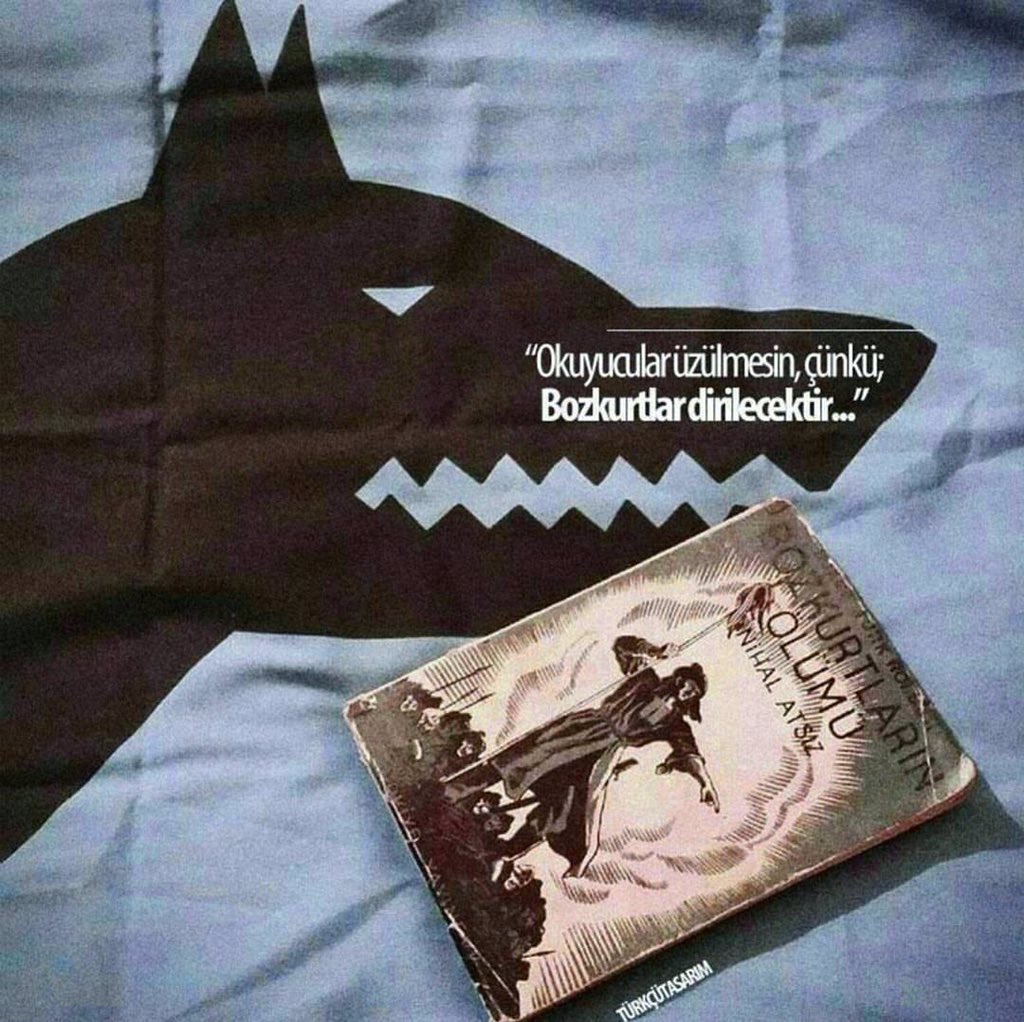 Türk Elleri tweet media