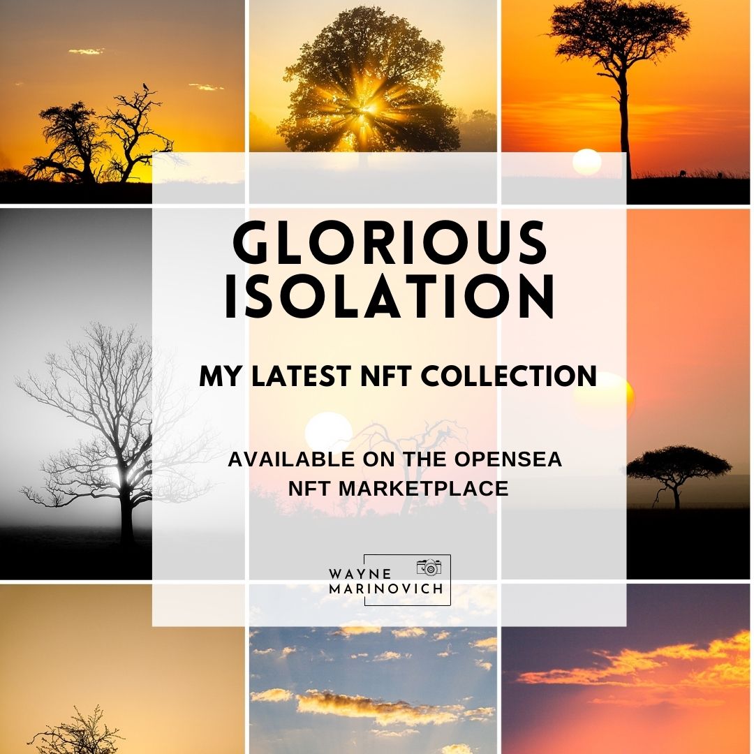 #NFT series - GLORIOUS ISOLATION - is now available  
Locations: Various 
Click here: bit.ly/48AcdBP 
One-off editions from only 0.25ETH    

#NFTCommunity #rarible #NFTcollectors #NFTdrop #nftphotography #digitalart #NFTs #OpenSeaNFT #NFTs #NFTshare