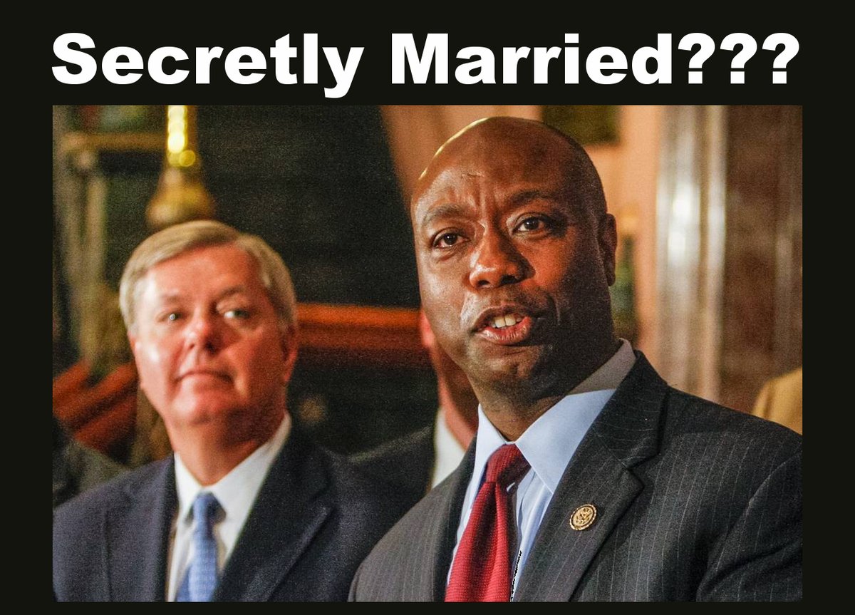 White Fang tweet media