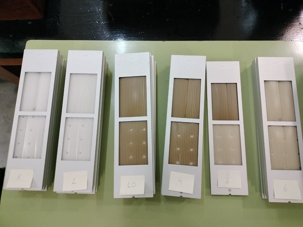 RecForestProj's tweet image. ¡Iniciamos en la Escuela de Ingeniería y Diseño Industrial las pruebas de envejecimiento acelerado de las muestras de tubos de material reciclado!

#Sostenibilidad #reciclaje #investigacion