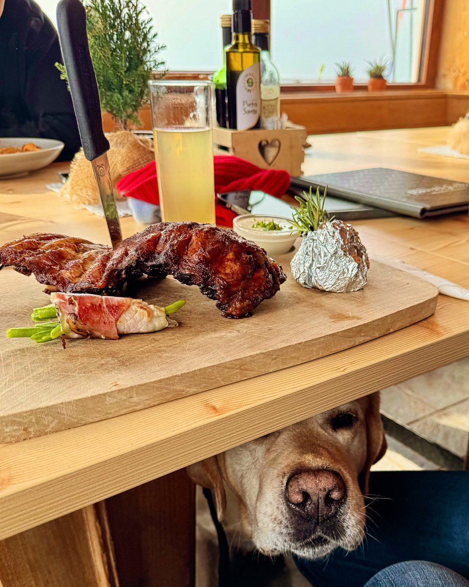 📰 „Harte Zeiten für den Südtiroler #Speck“ ? Hömma, woll, ey, klar. Ist #Labrador erstmal auf den #Geschmack gekommen 😋 🐾 #südtirol #altoadige @TagblattD