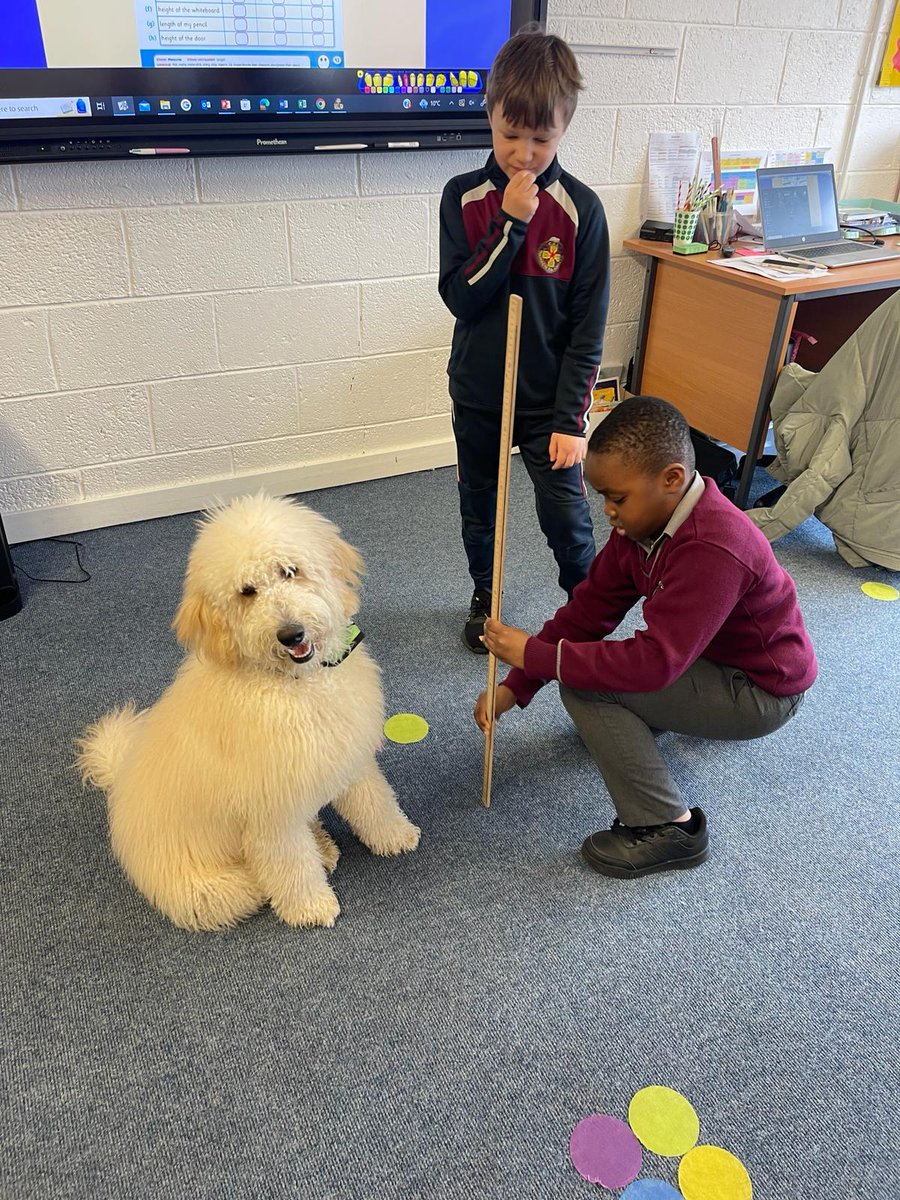 midletoncbs's tweet image. Steve helping 2nd Class to learn about metres and centimetres