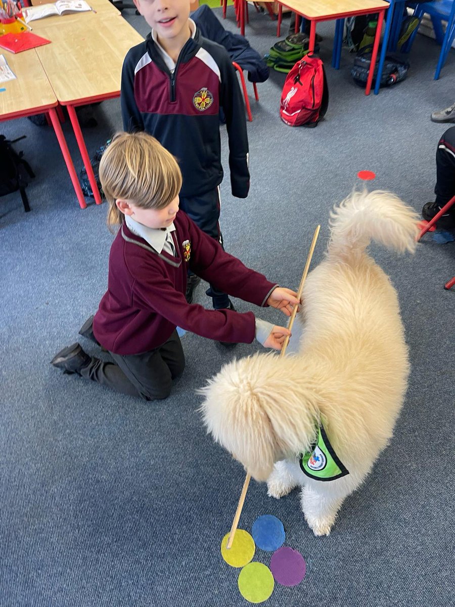 midletoncbs's tweet image. Steve helping 2nd Class to learn about metres and centimetres