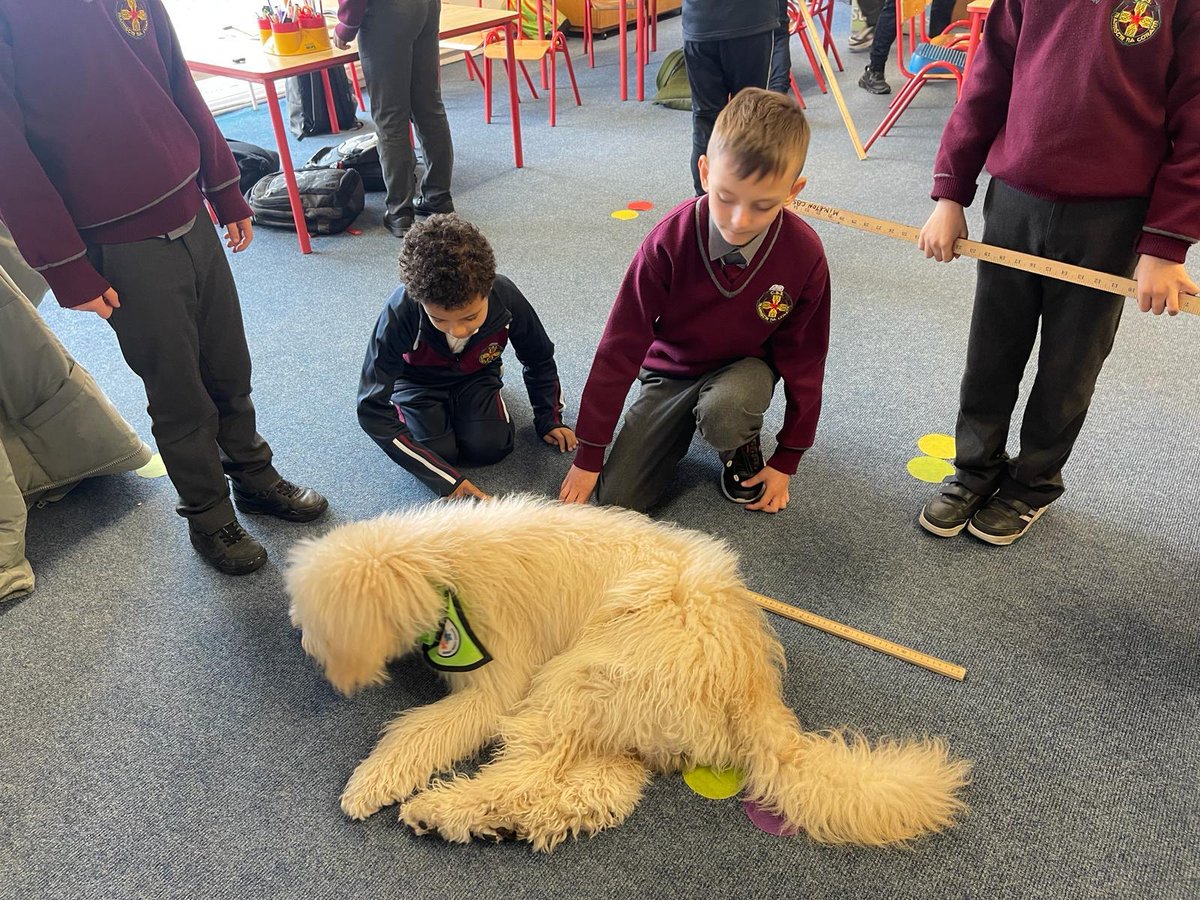 midletoncbs's tweet image. Steve helping 2nd Class to learn about metres and centimetres