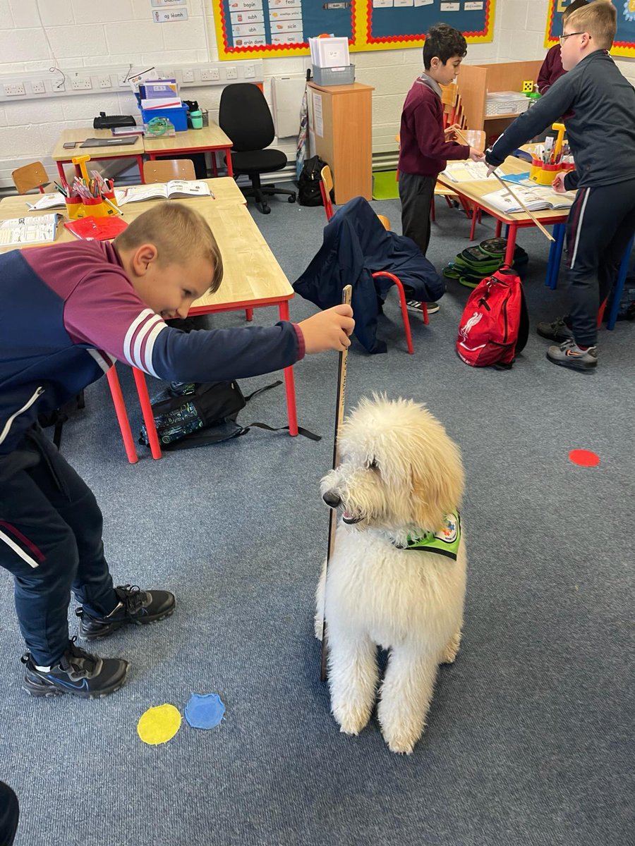 midletoncbs's tweet image. Steve helping 2nd Class to learn about metres and centimetres