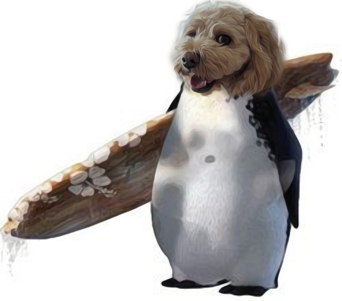 Bring on the warm weather!