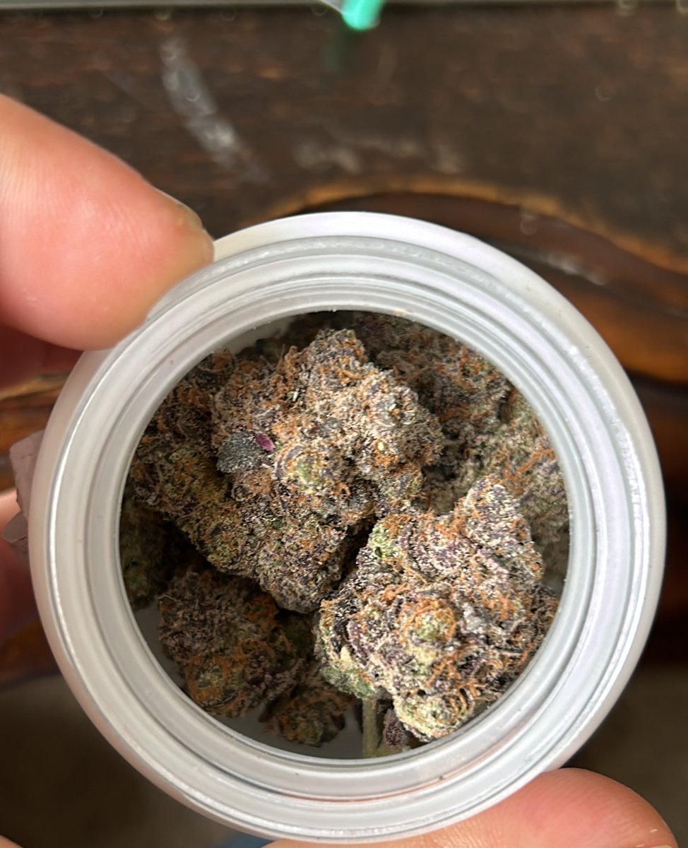 Sucia Ray❌❌ tweet media