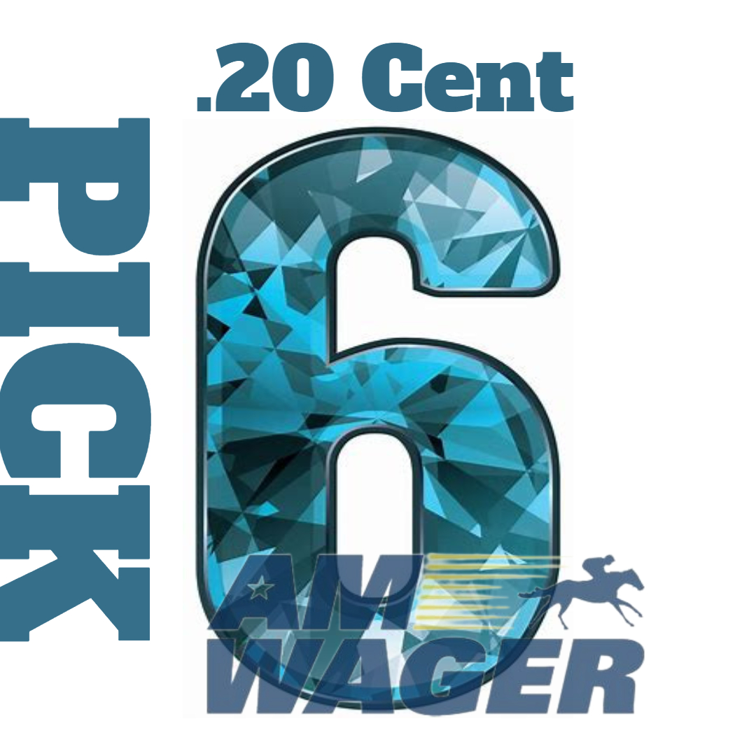 AmWager's tweet image. The third race will be going to post shortly @HollywoodMVRC, play the start of the .20cent PIck 6 now with AmWager.com it's easy and FREE to sign up! #Freesignup #pick6 #mahoningvalleyracecourse 🆓🏇💥