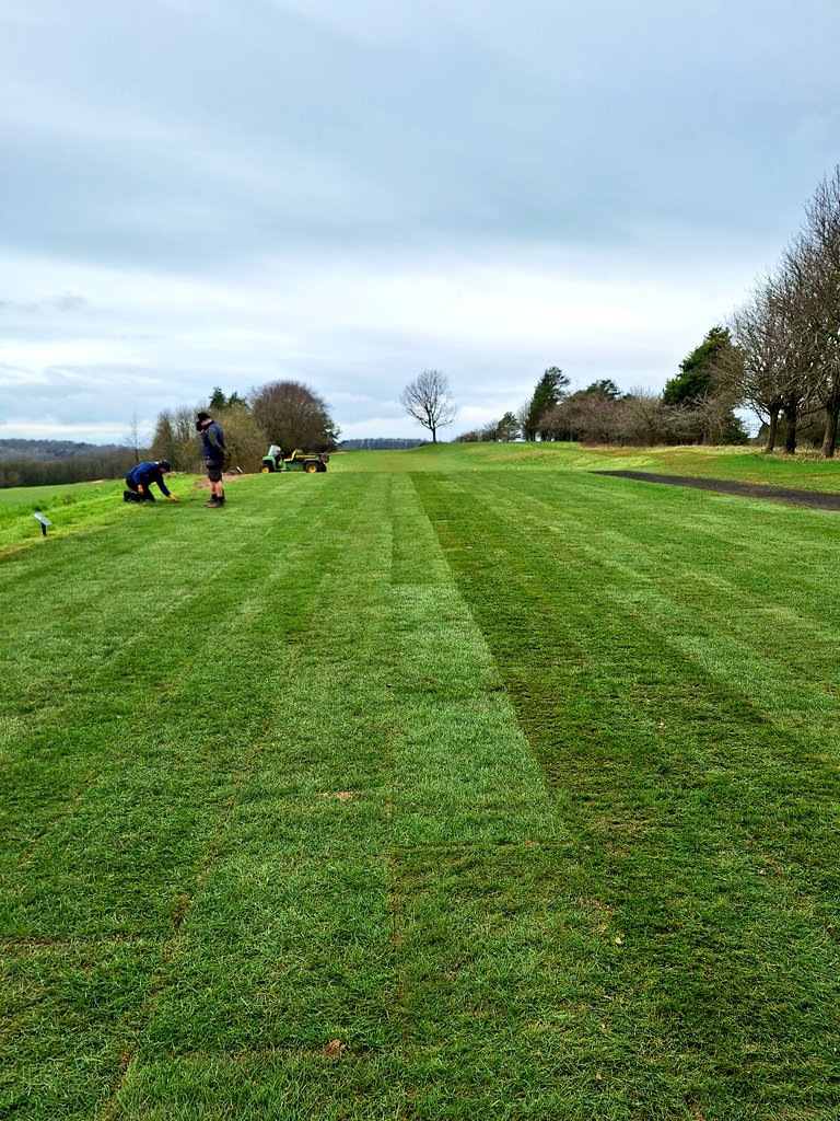 ride da riddims tweet media