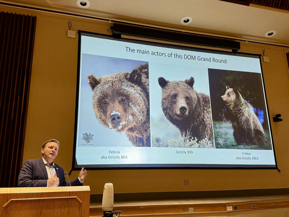 Exciting time to be alive!! Fascinating Medicine Grand Rounds today lead by Dr. @PetzoldTobias all the way from Germany and with a heartwarming introduction by Dr. @Eickelberg_MD. Thank you for sharing all your knowledge, hard work and passion 💜💜