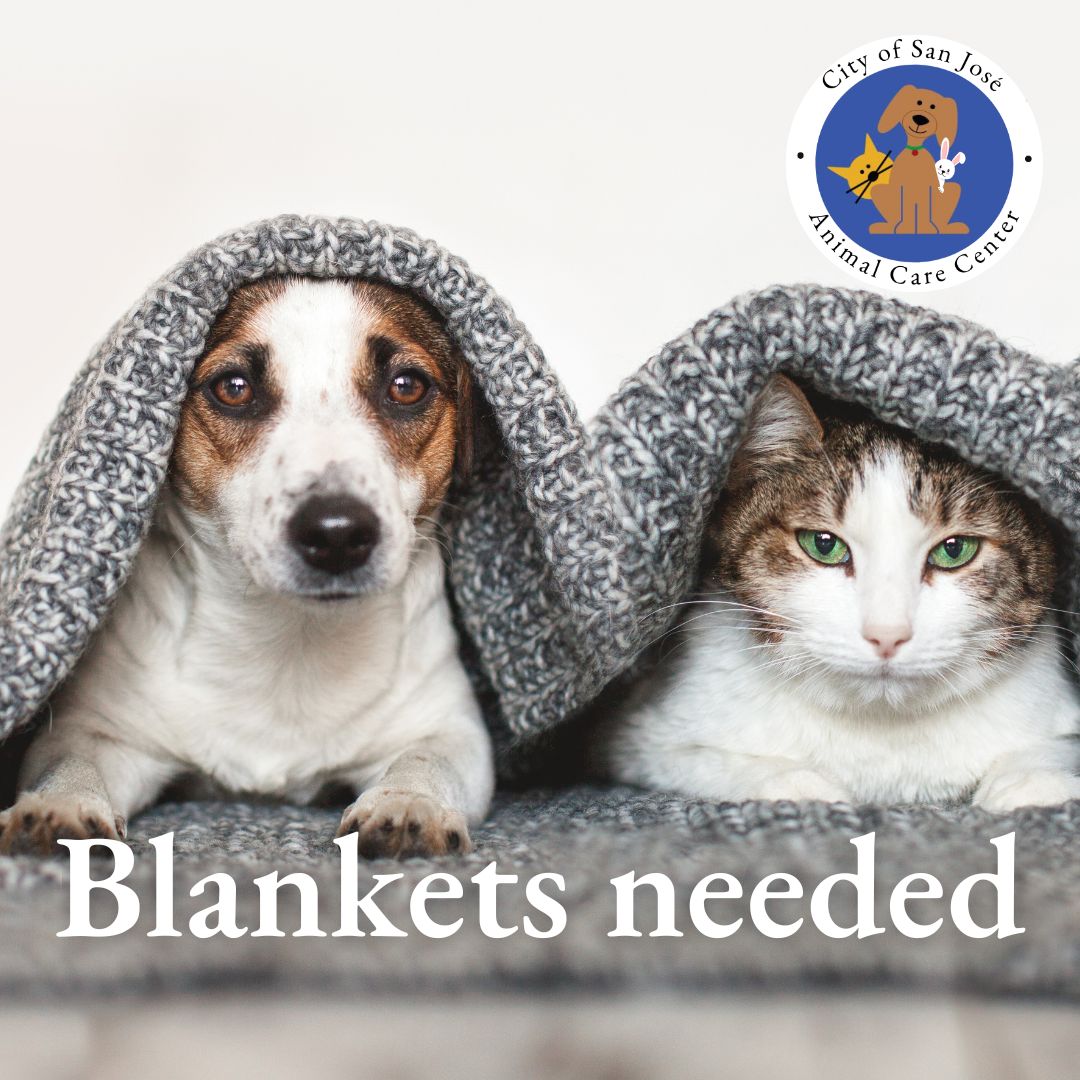 We are in need of clean, gently-used blankets for the pets in our care. 

Donations can be made at 📍2750 Monterey Road, San Jose📍 during our 🕙 business hours 🕔

Thank you, community.

#adoptdontshop #rescueismyfavoritebreed #blanketdonations #shelterpetdonations