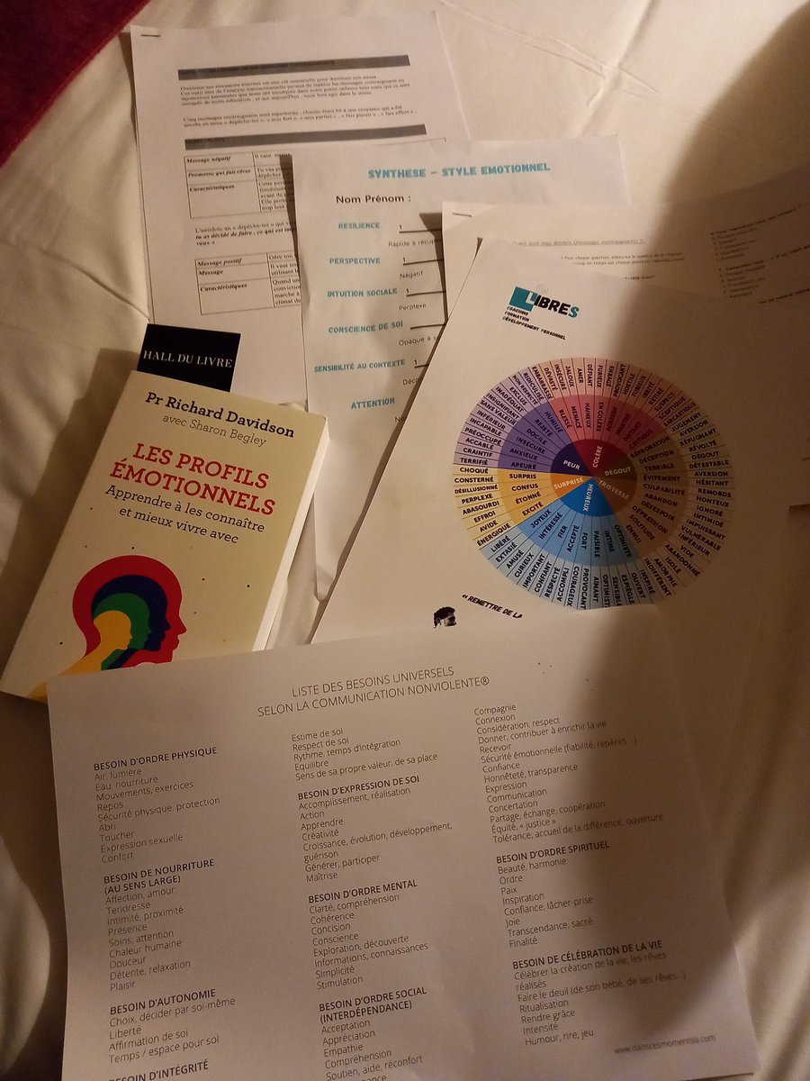 L'intelligence émotionnelle ou comment apprendre  à apprendre en tenant compte de son style émotionnel et de ses drivers?
Une formation  #eafc riche et enrichissante. Merci @P_WEISHEIMER
#empathy #school #apprentissage #learning