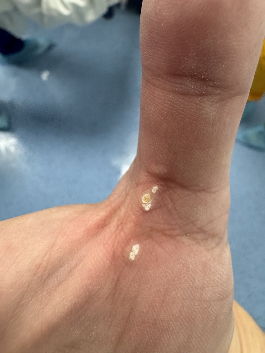 Elio Sánchez-Ali tweet media