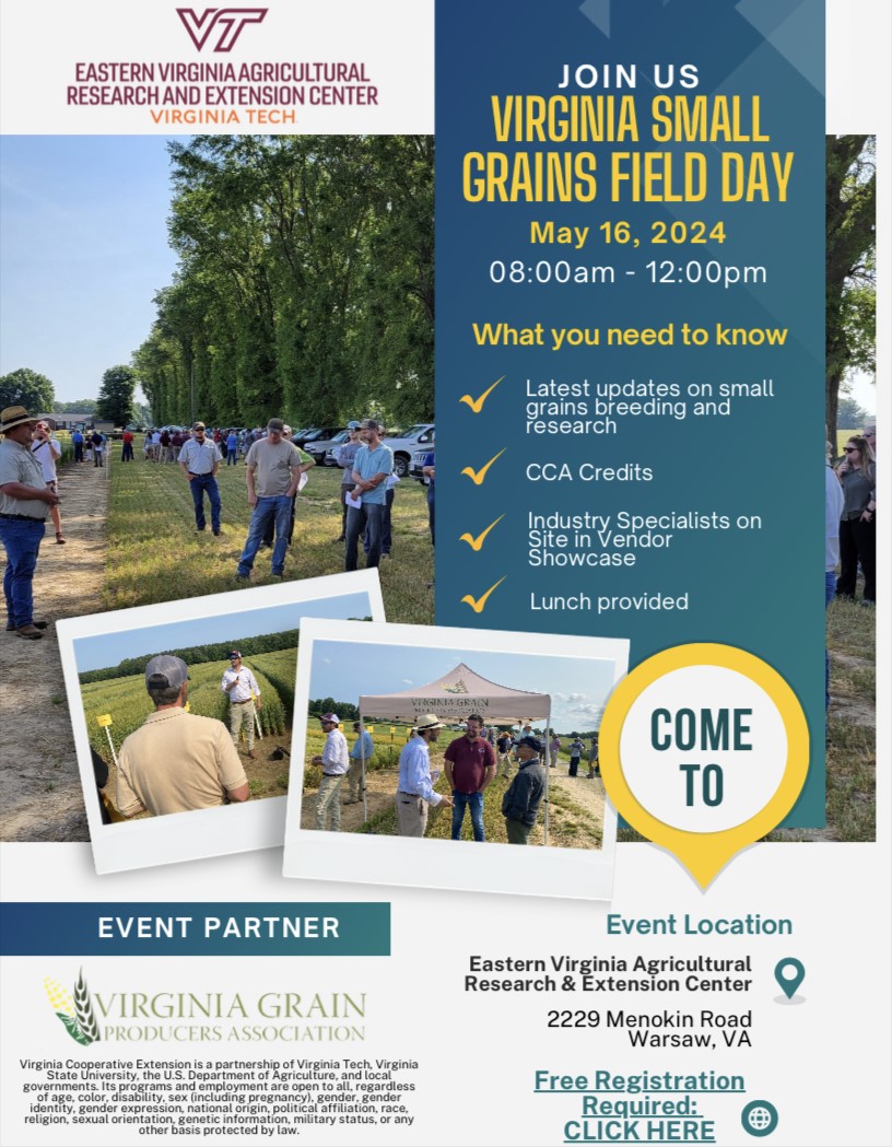 SAVE THE DATE 📅
Join us on May 16, 2024 for the Virginia Small Grains Field Day!
To register, click here: bit.ly/SGFD2024