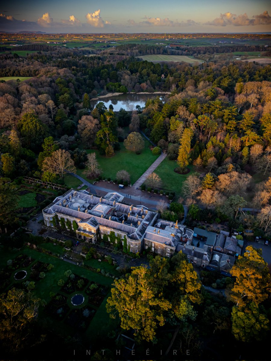 I N T H E É I R E tweet media