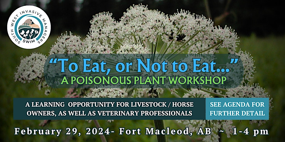 Join the South West Invasive Managers (SWIM) for To Eat, or Not to Eat – A Poisonous Plant Workshop on February 29, 2024 at 1:00-4:00pm Register at: bit.ly/poisonousplant…